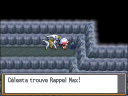 Grotte Argentée Rappel Max 2 HGSS.png
