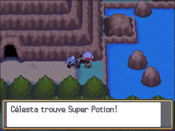 Route 42 Super Potion HGSS.png