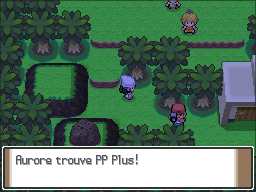 Aire de Survie PP Plus Pt.png