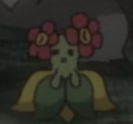 Joliflor sauvage - Film 23.png