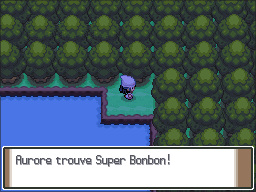 Route 214 Super Bonbon Pt.png