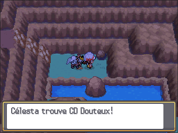 Route 42 CD Douteux HGSS.png