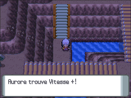 Route 208 Vitesse + DP.png