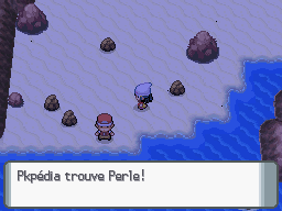 Fichier:Route 213 Perle 2 DP.png