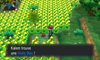 Fichier:Village Pokémon Huile Max XY.png