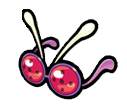 Rayons X-PDMRB.png