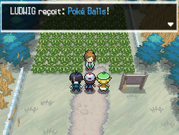 Route 1 Poké Balls NB.png