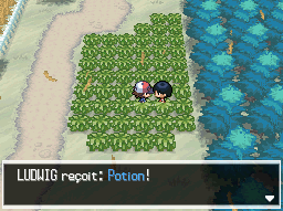 Route 1 Potion NB.png