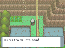 Route 227 Total Soin DP.png