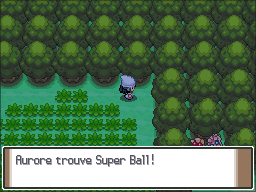 Route 209 Super Ball Pt.png