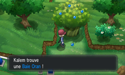 Fichier:Route 5 Baie Oran XY.png