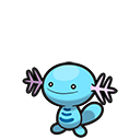Axoloto