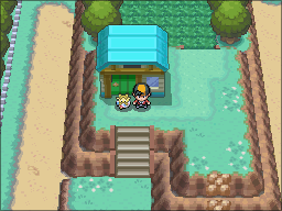 Route 5 Maison Rune Purifiante HGSS.png