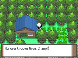 Route 221 Gros Champi Pt.png