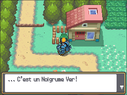 Route 30 Noigrume Vert HGSS.png