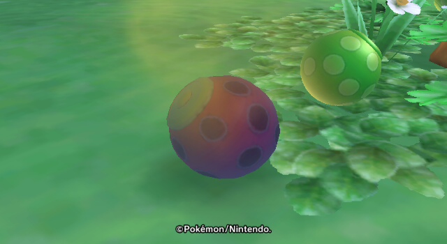 Fichier:Baie pourrie Poképark 2.JPG