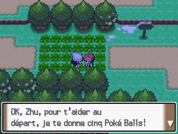 Route 202 Capture 3 Pt.png