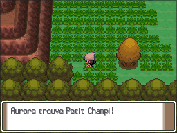 Route 208 Petit Champi Pt.png