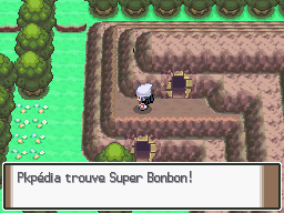 Fichier:Ruines Bonville Super Bonbon Pt.png