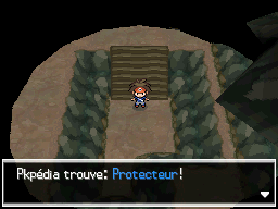 Fichier:Veine Souterraine Protecteur N2B2.png