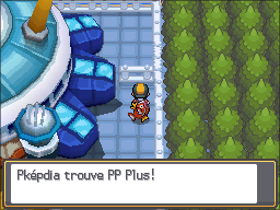 Dôme Pokéathlon PP Plus HGSS.png