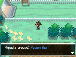 Fichier:Route 12 Potion Max N2B2.png