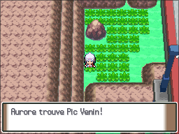 Route 206 Pic Venin Pt.png