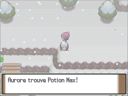 Route 216 Potion Max Pt.png