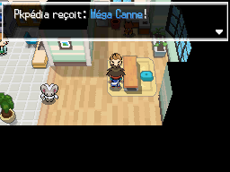 Fichier:Renouet Méga Canne N2B2.png