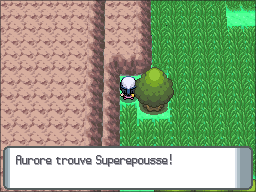 Route 210 Superepousse DP.png