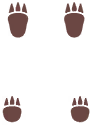 Empreintes 0435 DEPS.png
