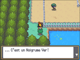 Fichier:Route 35 Noigrume Vert HGSS.png