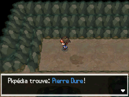 Fichier:Chemin Enfoui Pierre Dure N2B2.png
