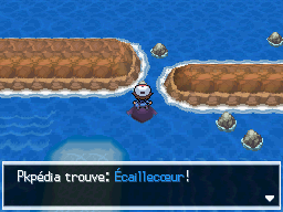 Chenal 17 Écaillecœur 1 NB.png