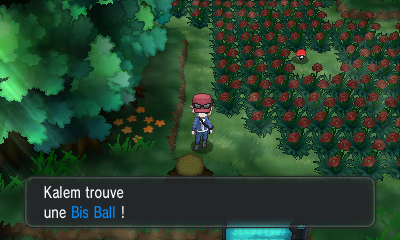 Fichier:Route 20 Bis Ball XY.png