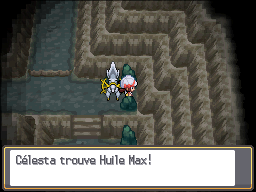 Antre Noir Huile Max HGSS.png