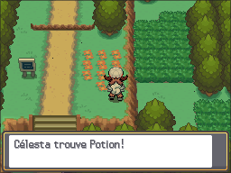 Route 30 Potion 2 HGSS.png