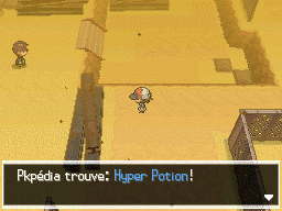 Route 4 Hyper Potion 1 NB.png