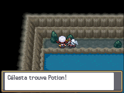 Caves Jumelles Potion HGSS.png