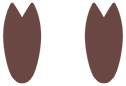 Empreintes 0225 DEPS.png