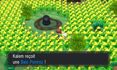 Fichier:Village Pokémon Baie Pomroz XY.png