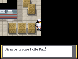 Doublon-Tunnel Huile Max HGSS.png
