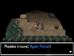 Fichier:Grotte Parsemille Hyper Potion N2B2.png