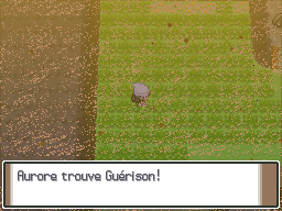 Route 228 Guérison Pt.png