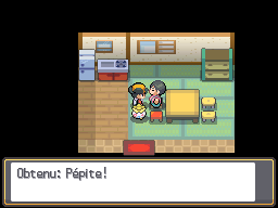 Fichier:Route 2 Pépite HGSS.png