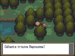 Bois aux Chênes Repousse HGSS.png