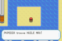 Route 23 Huile Max RFVF.png
