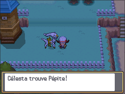 Route 39 Pépite HGSS.png