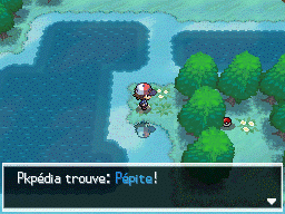 Tourbière Flocombe Pépite NB.png