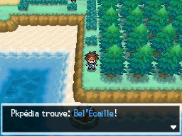 Fichier:Route 1 Bel'Écaille N2B2.png